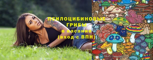сатива Каменск-Шахтинский