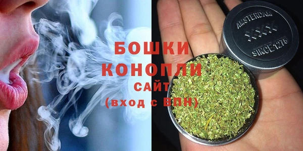 сатива Каменск-Шахтинский