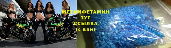 ПСИЛОЦИБИНОВЫЕ ГРИБЫ Фёдоровский