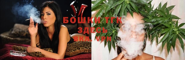 сатива Каменск-Шахтинский