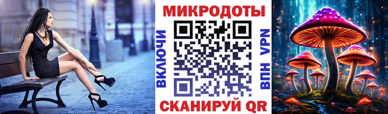 Купить где  Сальск  Псилоцибиновые грибы прущие грибы 