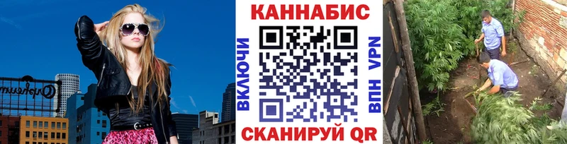 Бошки марихуана Ganja Купить Сальск